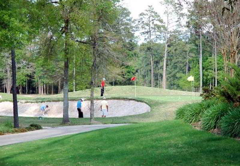 Heritage Place Houston Brookhollow Facilidades foto